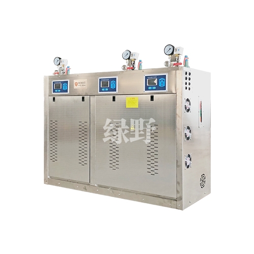 上海216KW电蒸汽发生器
